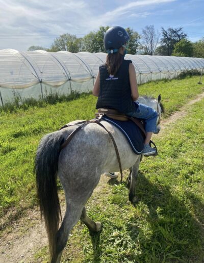 Animation équestre à la ferme de la chasseloire, près de Nantes