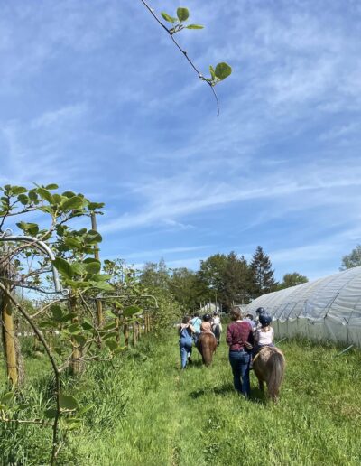 Animation équestre dans les serres de la Ferme de la Chasseloire, près de Nantes