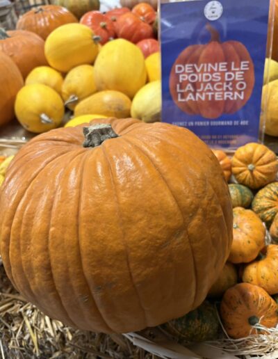 Animation d'halloween à la Ferme de la Chasseloire, près de Nantes