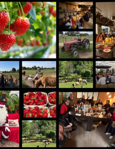 Les fêtes de fin d'année à la Ferme de la Chasseloire, près de Nantes