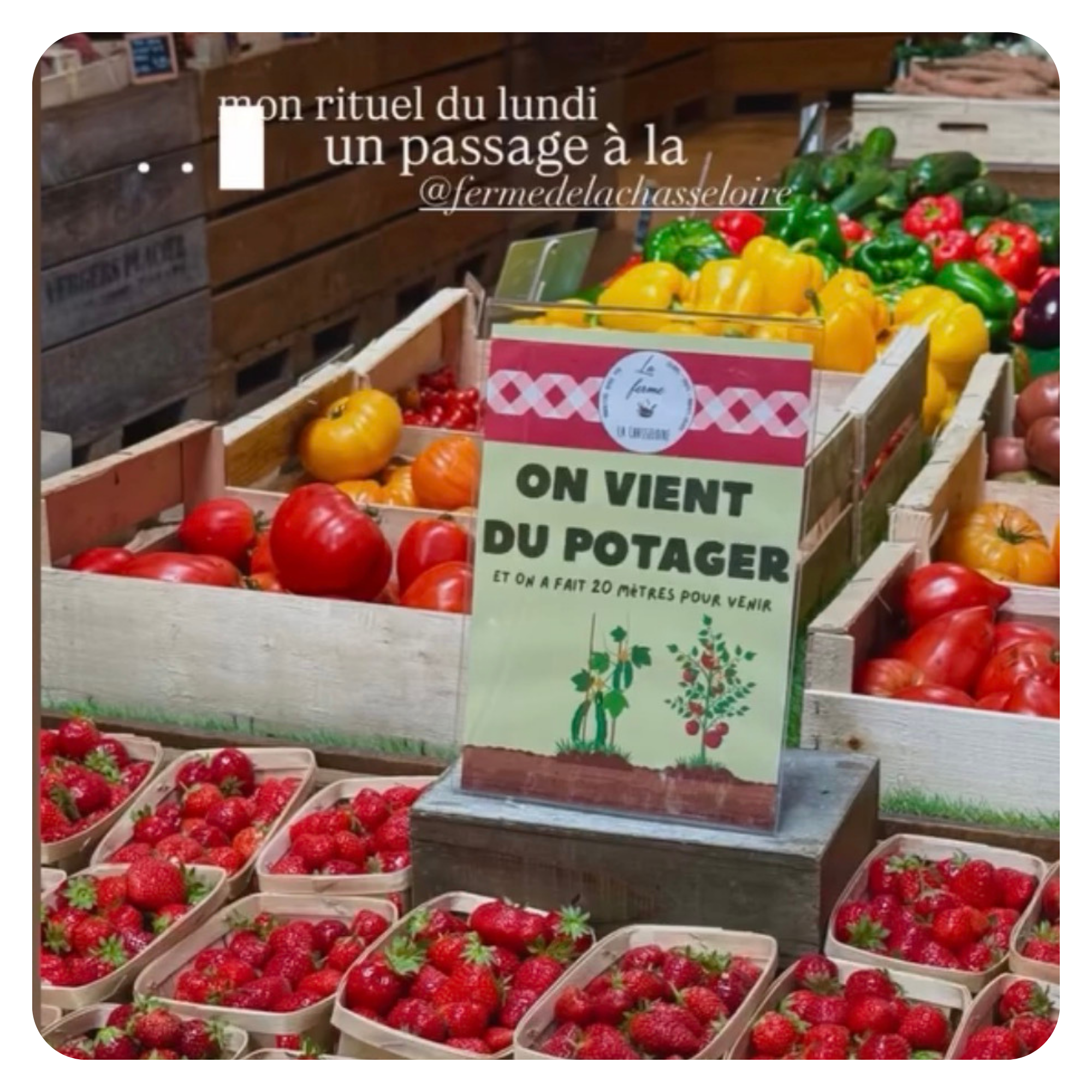 L'influenceuse nantaise Alix en visite à la ferme de la Chasseloire, à Saint Herblain près de Nantes