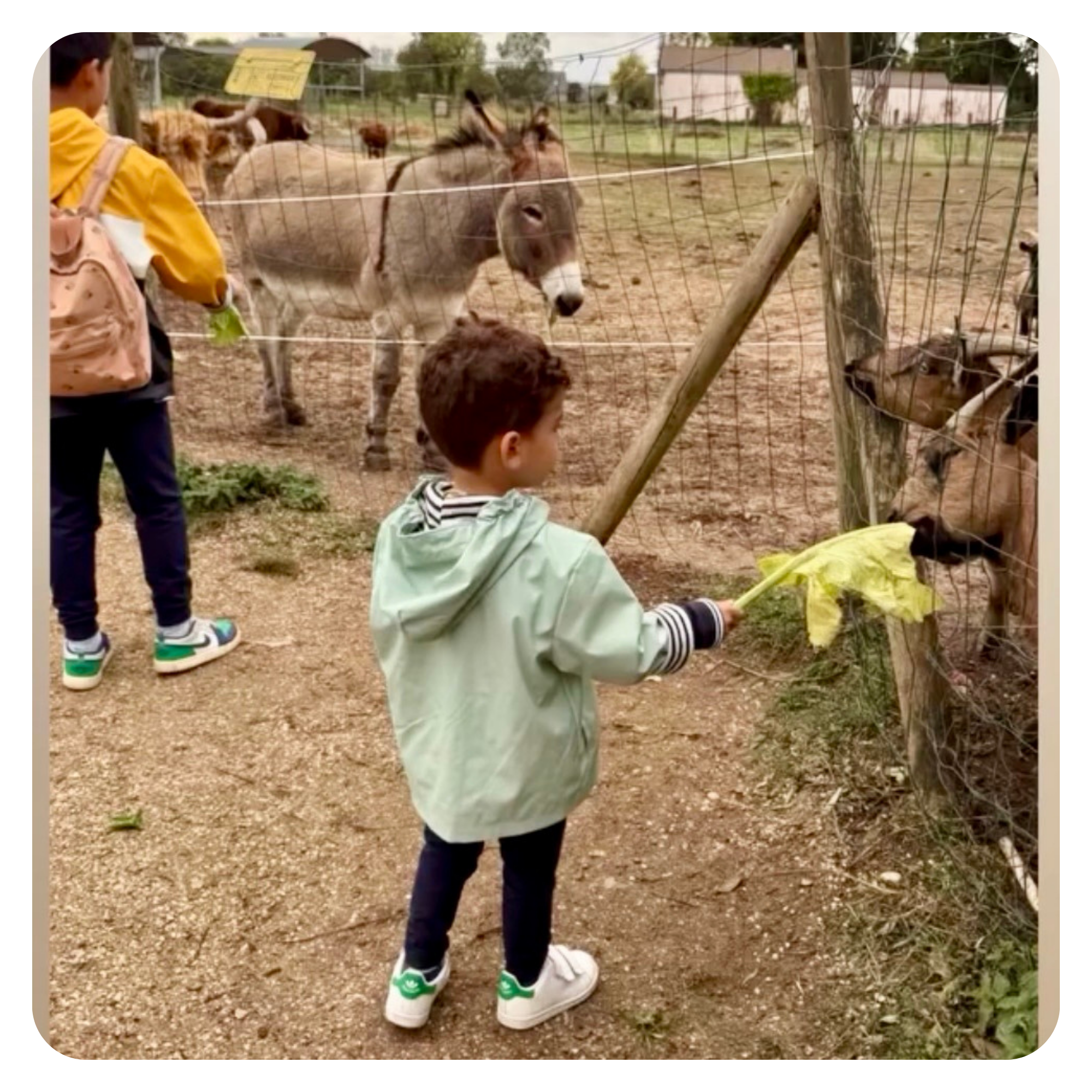 L'influenceuse caline_mum en visite à la Ferme de la Chasseloire à Saint Herblain, près de Nantes